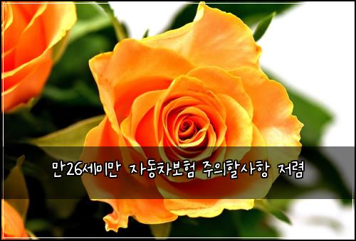 ๋ง26์ธ๋ฏธ๋ง ์๋์ฐจ๋ณดํ ์ฃผ์ํ ์ฌํญ ์ ๋ ด
