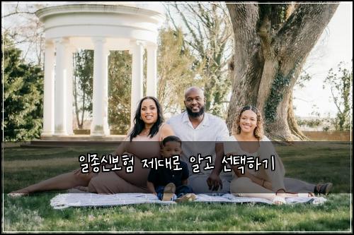 일종신보험 제대로 알고 선택하기