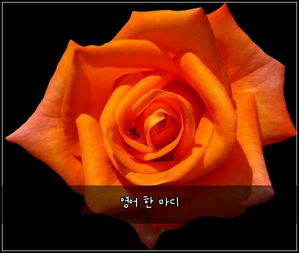 영어 한 마디