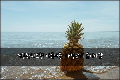 ์ ๋ ดํ์ฐจ๋ณดํ ๋ฐ๋ฅธ๋ด์ฉ ๊ฐ๊ฒฉ์ก๊ธฐ ์ค๋น๋ฐ๋