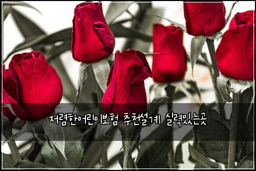 저렴한어린이보험 추천설계  실력있는곳