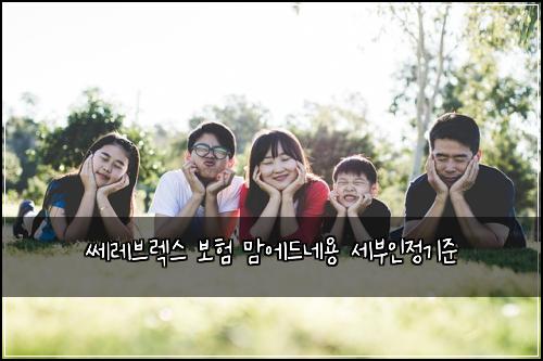 ์๋ ๋ธ๋ ์ค ๋ณดํ ๋ง์๋๋ค์ฉ ์ธ๋ถ์ธ์ ๊ธฐ์ค