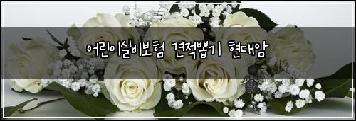어린이실비보험 견적뽑기  현대암