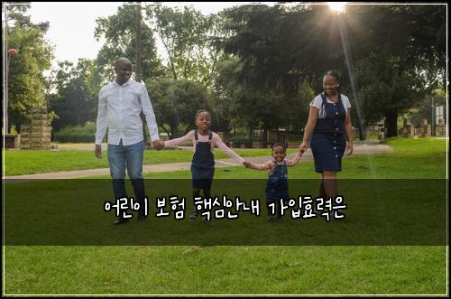 어린이 보험 핵심안내  가입효력은