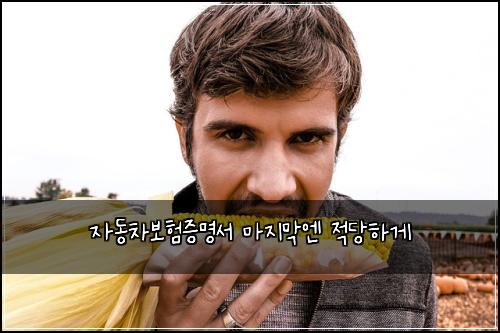 자동차보험증명서 마지막엔 적당하게