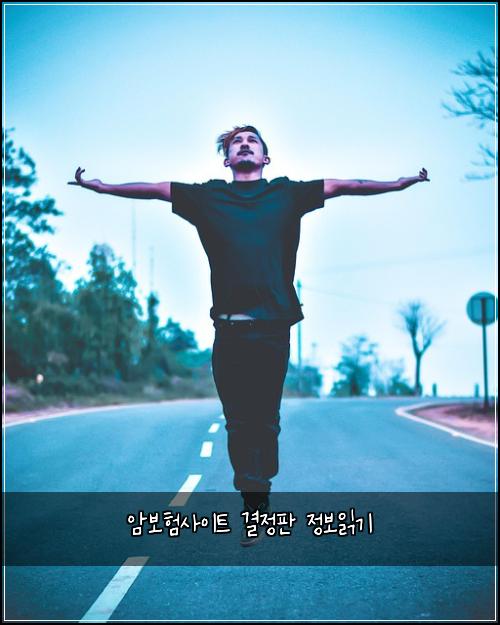 암보험사이트 결정판 정보읽기