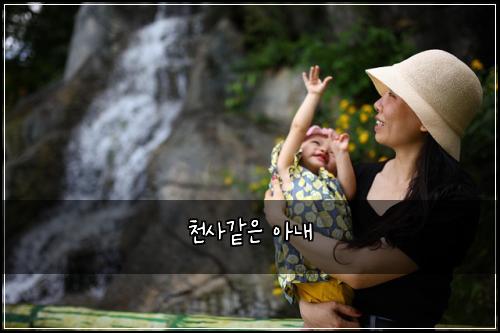 천사같은 아내