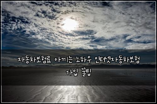 자동차보험료 아끼는 노하우 인터넷자동차보험 가입 꿀팁