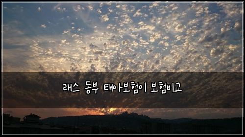 래스 동부 태아보험이 보험비교
