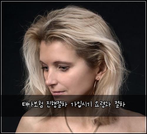 태아보험 진행절차  가입시기 요령과 절차