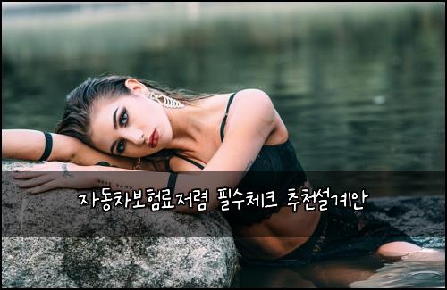 ์๋์ฐจ๋ณดํ๋ฃ์ ๋ ด ํ์์ฒดํฌ ์ถ์ฒ์ค๊ณ์