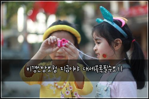 비갱신암보험 지금이야  대세목록필수보기
