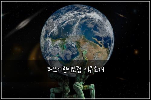 ์ฒ๋ธ์ด๋ฆฐ์ด๋ณดํ ์ด์ ์๊ฐ