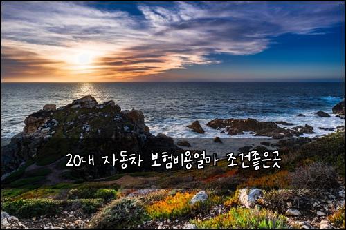 20대 자동차 보험비용얼마 조건좋은곳
