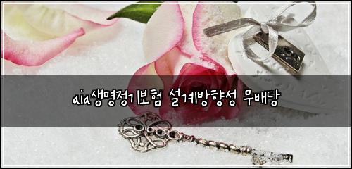 aia생명정기보험 설계방향성  무배당