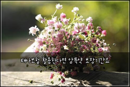 태아보험 활용한다면  암특약 보장기간요