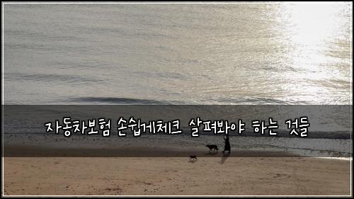 자동차보험 손쉽게체크  살펴봐야 하는 것들