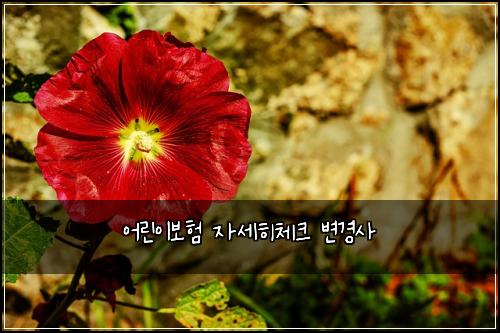어린이보험 자세히체크  변경사