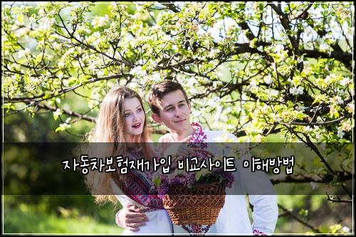 자동차보험재가입 비교사이트 이해방법