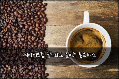 씨아이보험 둘러봐요  실비는 필요하죠