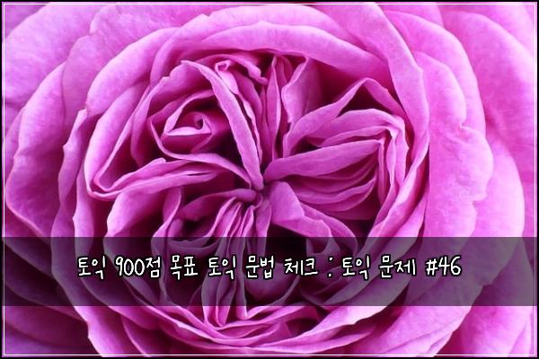 토익 900점 목표 토익 문법 체크 : 토익 문제 #46