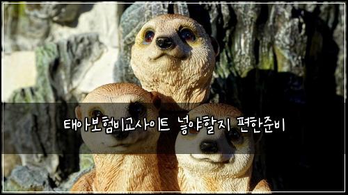 ํ์๋ณดํ๋น๊ต์ฌ์ดํธ ๋ฃ์ผํ ์ง ํธํ์ค๋น