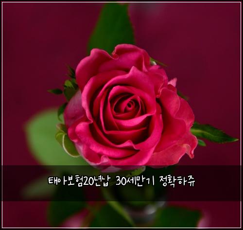태아보험20년납 30세만기 정확하쥬