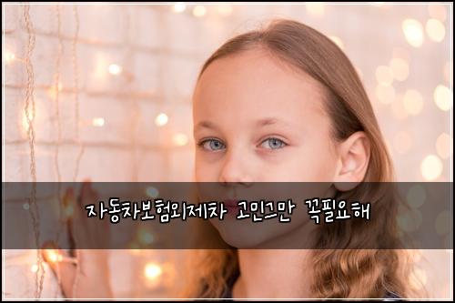 자동차보험외제차 고민그만 꼭필요해
