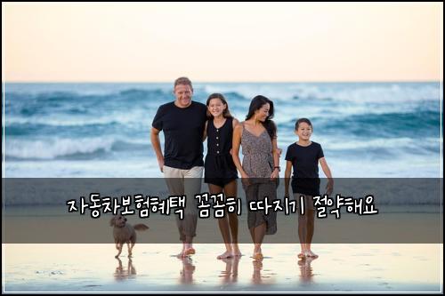 자동차보험혜택 꼼꼼히 따지기 절약해요