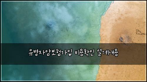유병자암보험가입 비용확인 설계내용