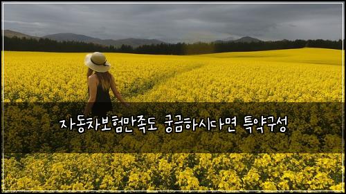 자동차보험만족도 궁금하시다면 특약구성