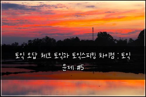 토익 오답 체크 토익과 토익스피킹 차이점 : 토익 문제 #5