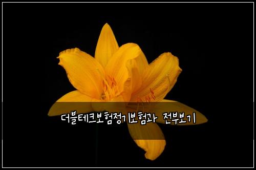 ๋๋ธํ
ํฌ๋ณดํ์ ๊ธฐ๋ณดํ๊ณผ ์ ๋ถ๋ณด๊ธฐ