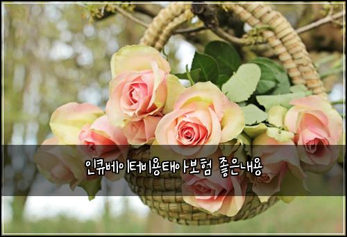 인큐베이터비용태아보험 좋은내용 