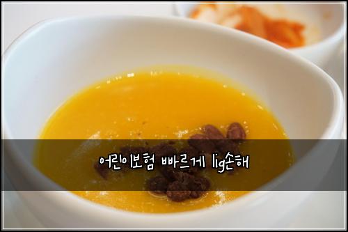 어린이보험 빠르게  lig손해