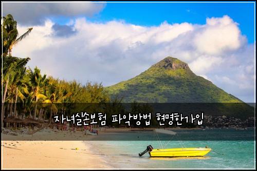 ์๋
์ค์๋ณดํ ํ์
๋ฐฉ๋ฒ ํ๋ช
ํ๊ฐ์