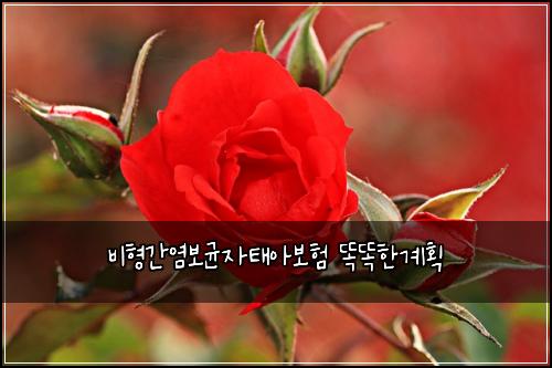 ๋นํ๊ฐ์ผ๋ณด๊ท ์ํ์๋ณดํ ๋๋ํ๊ณํ