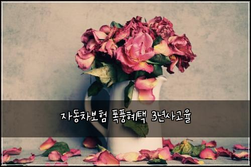 자동차보험 폭풍혜택  3년사고율