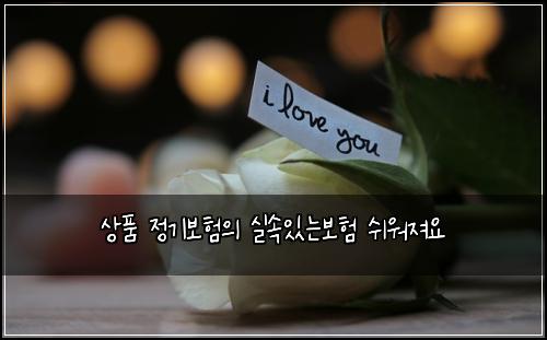 상품 정기보험의 실속있는보험 쉬워져요