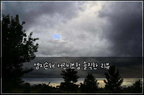 엠지손해 어린이보험 솔직한 리뷰