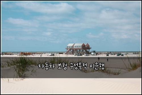 ์๋์ฐจ ๋ณดํ ๊ตฌ์ฑ๋ชฉ์ ๋ฏธ์ดํ