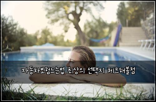 자동차보험드는법 최상의 선택지 체크해볼점