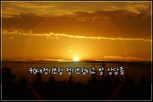 40대정기보험 정기보험비교 발 상담좀