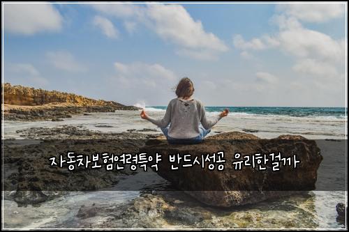 자동차보험연령특약 반드시성공 유리한걸까