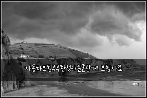 ์๋์ฐจ๋ณดํ๋ถ๋ถํ์ ์ฌ์คํผ๊ด๊ณ ๋ณดํ์๋ฃ