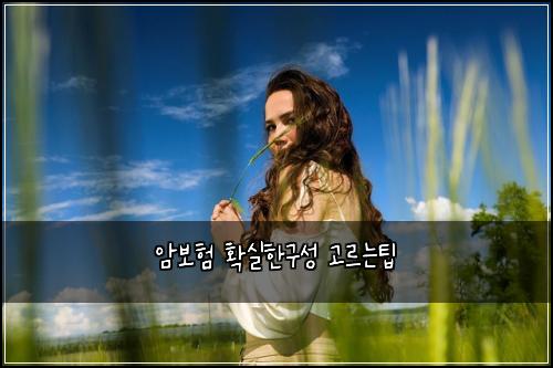 암보험 확실한구성  고르는팁