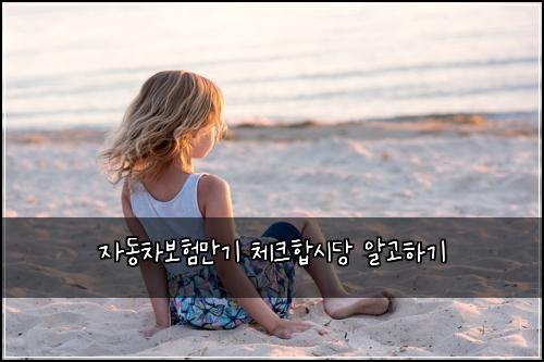 ์๋์ฐจ๋ณดํ๋ง๊ธฐ ์ฒดํฌํฉ์๋น ์๊ณ ํ๊ธฐ