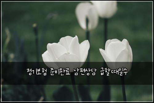 정기보험 준비완료  남편상담 급할때일수