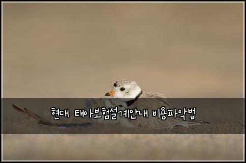 현대 태아보험설계안내 비용파악법