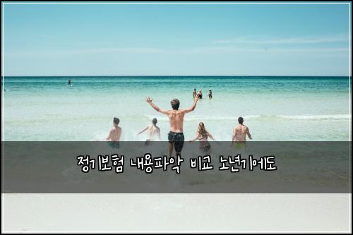 정기보험 내용파악  비교 노년기에도
